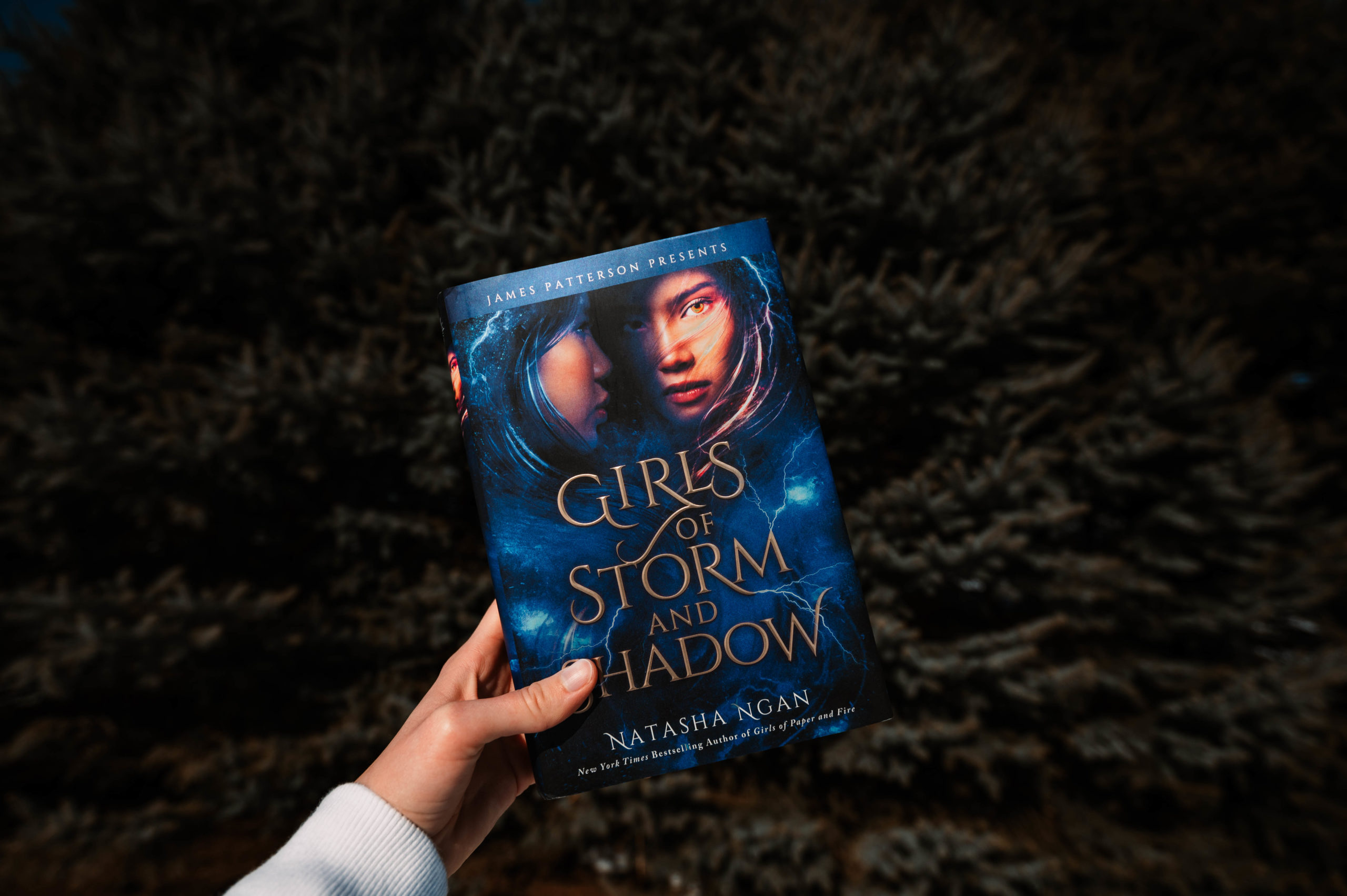 Girls of Storm and Shadow Natasha Ngan